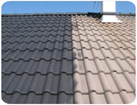 Devis Peinture de Toiture à Niort Deux-Sèvres