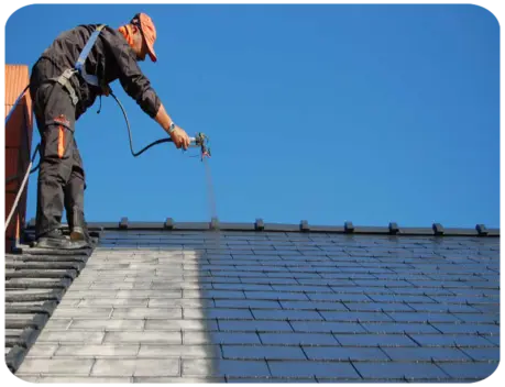 Peinture sur toiture Niort Deux-Sèvres